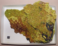 RG0822 Autunite.jpg RG0822 Autunite.jpg