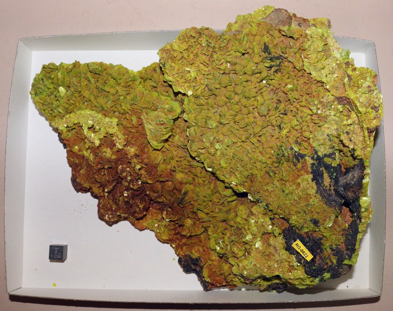 RG0822 Autunite.jpg