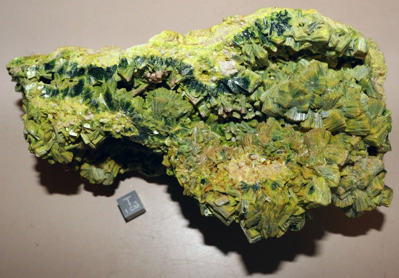 RG0823 Meta-Autunite.jpg