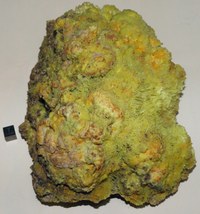 RG0824 Sulphur.JPG RG0824 Sulphur.JPG