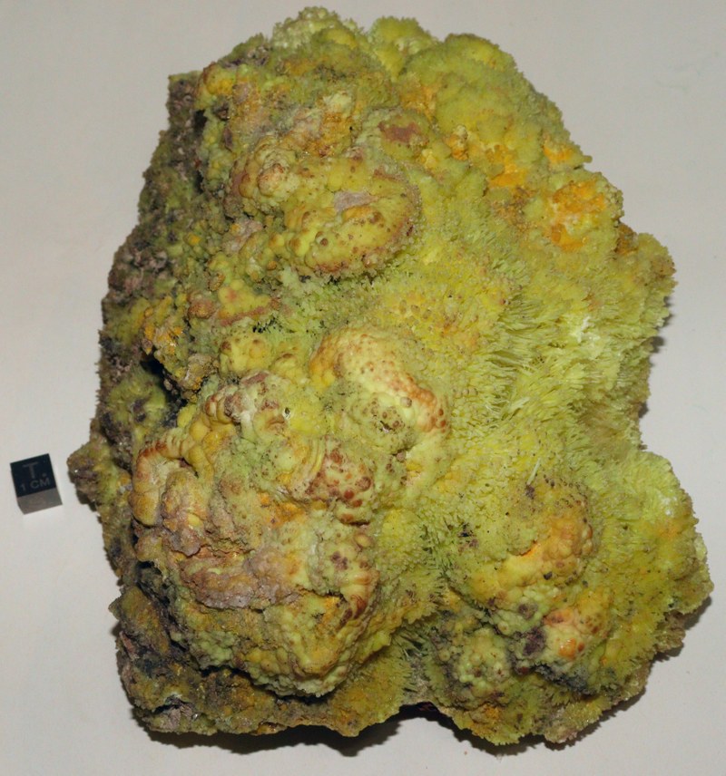 RG0824 Sulphur.JPG