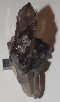 RG0835 Quartz b.jpg RG0835 Quartz b.jpg