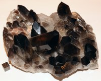 RG0839 Quartz.jpg RG0839 Quartz.jpg