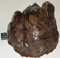 RG0840 Quartz c.jpg RG0840 Quartz c.jpg
