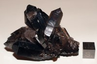 RG0842 Quartz.jpg RG0842 Quartz.jpg