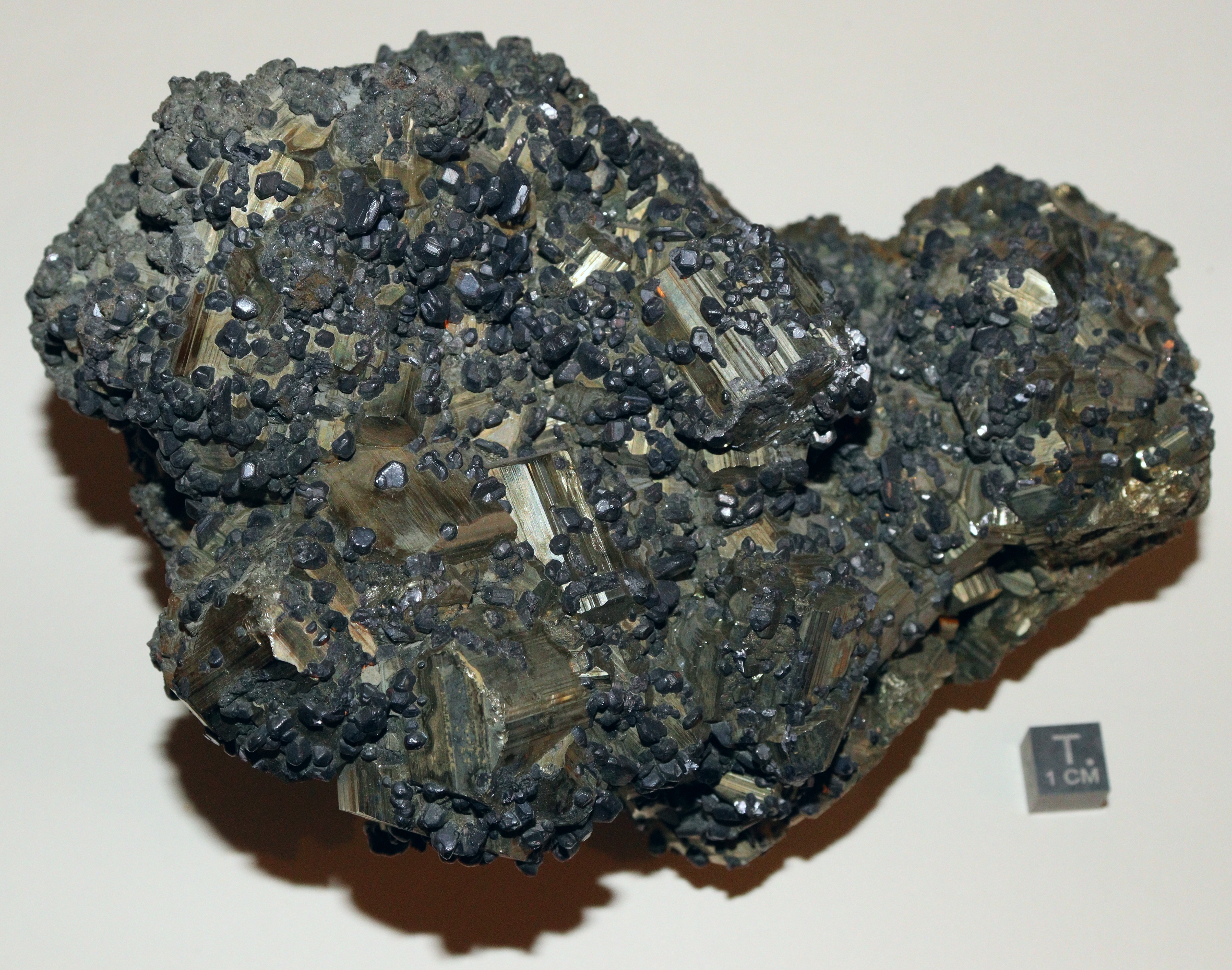 RG0853 Pyrite b.jpg