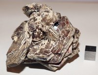 RG0858 Muscovite a.jpg RG0858 Muscovite a.jpg