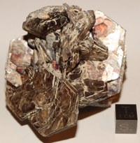RG0858 Muscovite b.jpg RG0858 Muscovite b.jpg