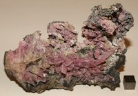 RG0859 Inesite.jpg RG0859 Inesite.jpg