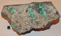 RG0867 Beryl.jpg RG0867 Beryl.jpg