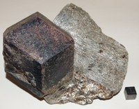 RG0868 Garnet.jpg RG0868 Garnet.jpg