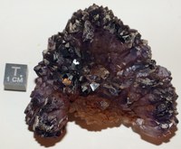 RG0869 Amethyst.jpg RG0869 Amethyst.jpg