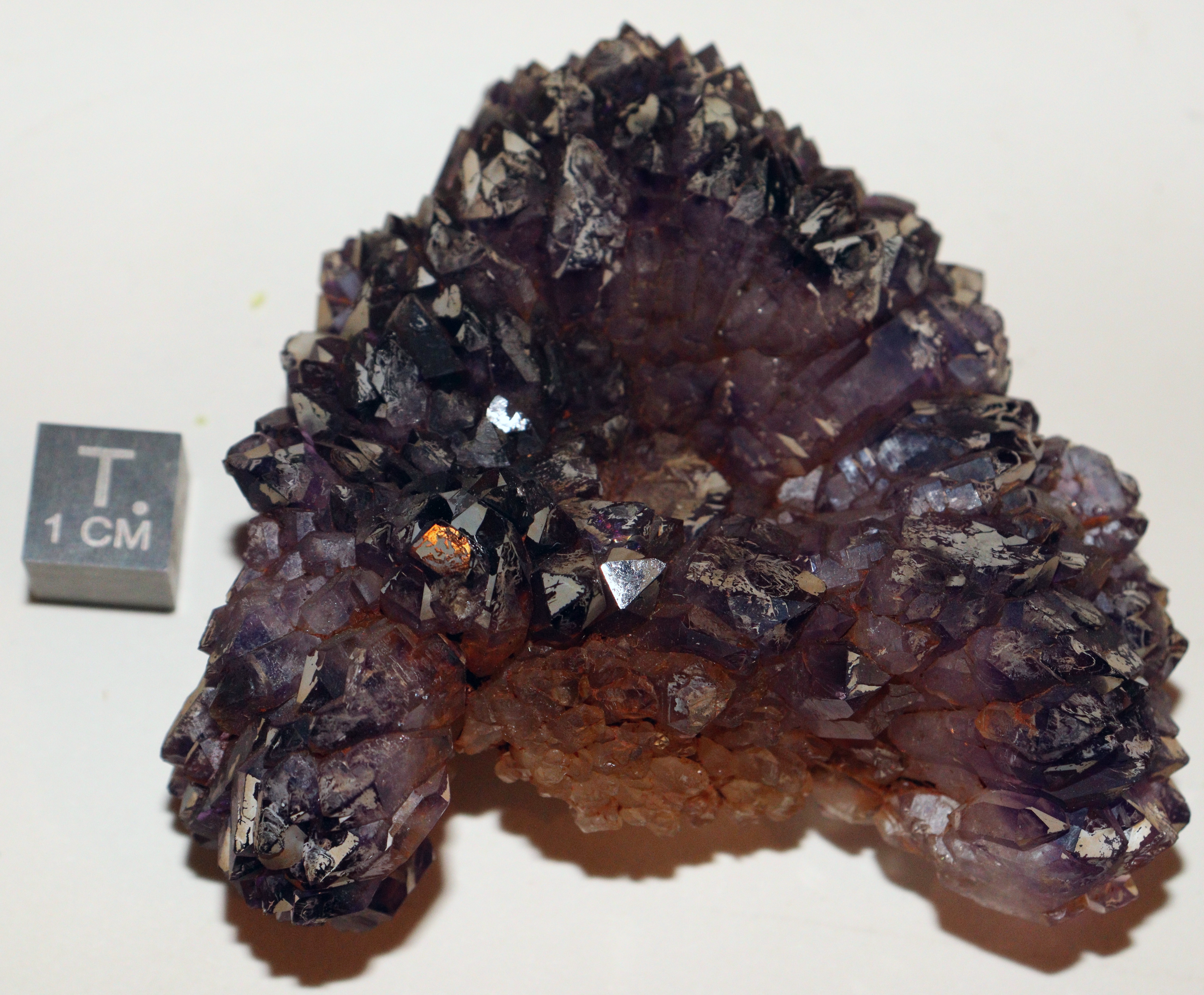 RG0869 Amethyst.jpg