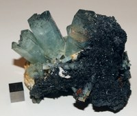RG0876 Beryl Aquamarin.jpg RG0876 Beryl Aquamarin.jpg