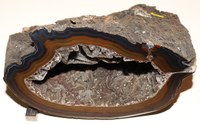 RG0889 Quartz Agate.jpg RG0889 Quartz Agate.jpg