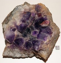 RG0890 Amethyst.jpg RG0890 Amethyst.jpg
