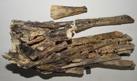 RG0895 Stibiconite.jpg RG0895 Stibiconite.jpg