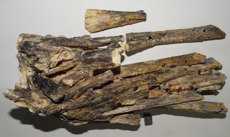RG0895 Stibiconite.jpg