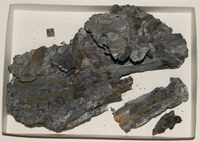 RG0907 Franklinite.jpg RG0907 Franklinite.jpg