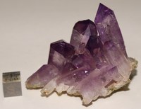 RG0912 Quartz Amethyste.jpg RG0912 Quartz Amethyste.jpg