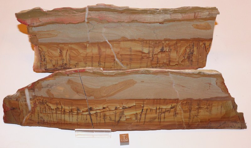 RG0914 Pietra Paesina.jpg
