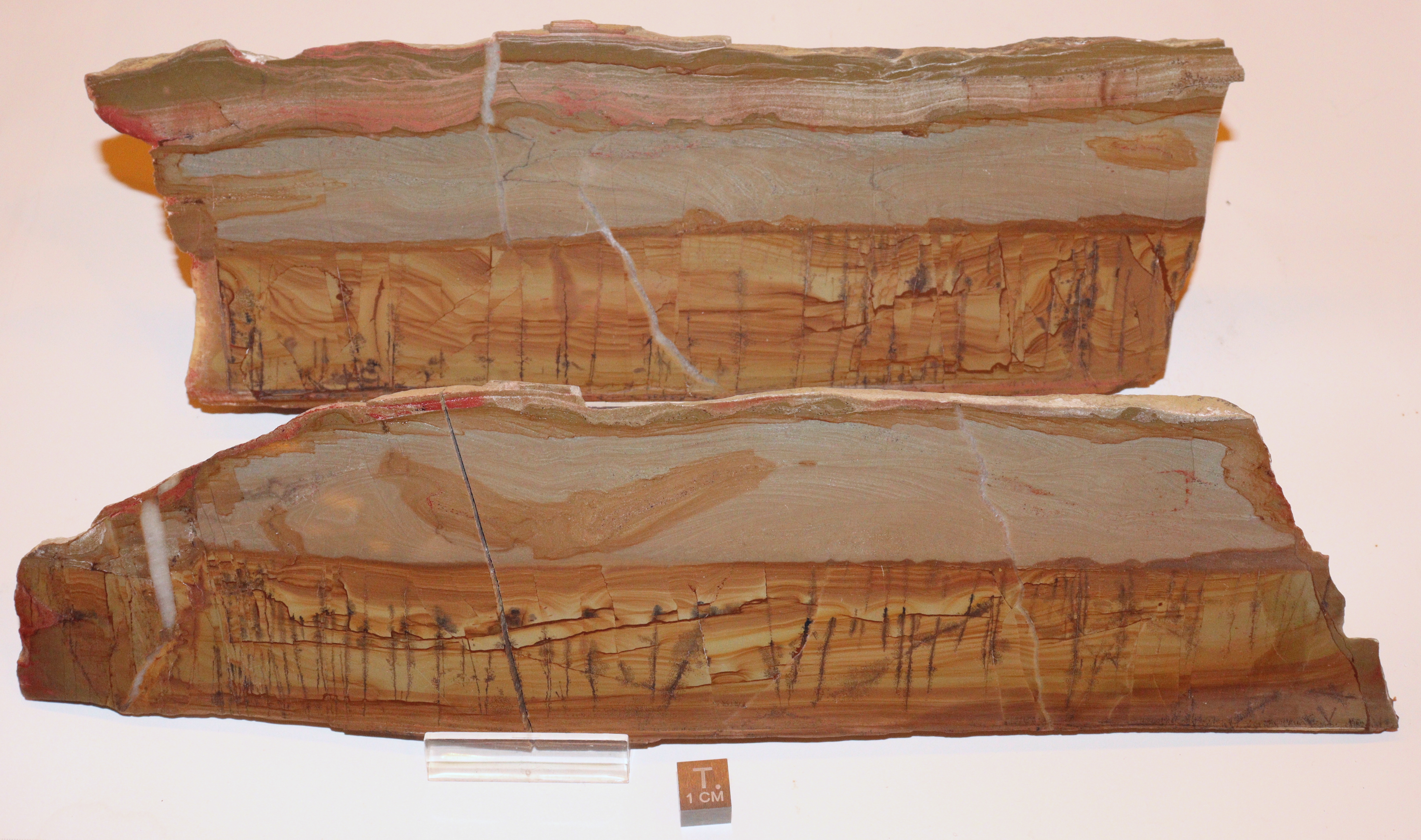 RG0914 Pietra Paesina.jpg