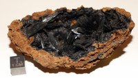 RG0929 Vivianite.jpg RG0929 Vivianite.jpg