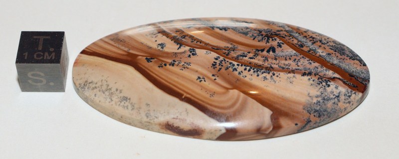 RG0931 Pietra Paesina.jpg