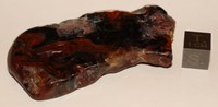 RG0935 Pietersite.jpg RG0935 Pietersite.jpg