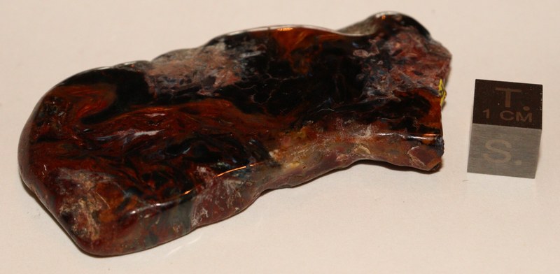 RG0935 Pietersite.jpg