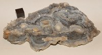 RG0939 Chalcedony Quartz.jpg RG0939 Chalcedony Quartz.jpg