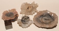 RG0944 Chalcedony Quartz.jpg RG0944 Chalcedony Quartz.jpg