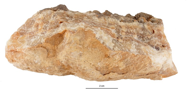 FRCO3.jpg