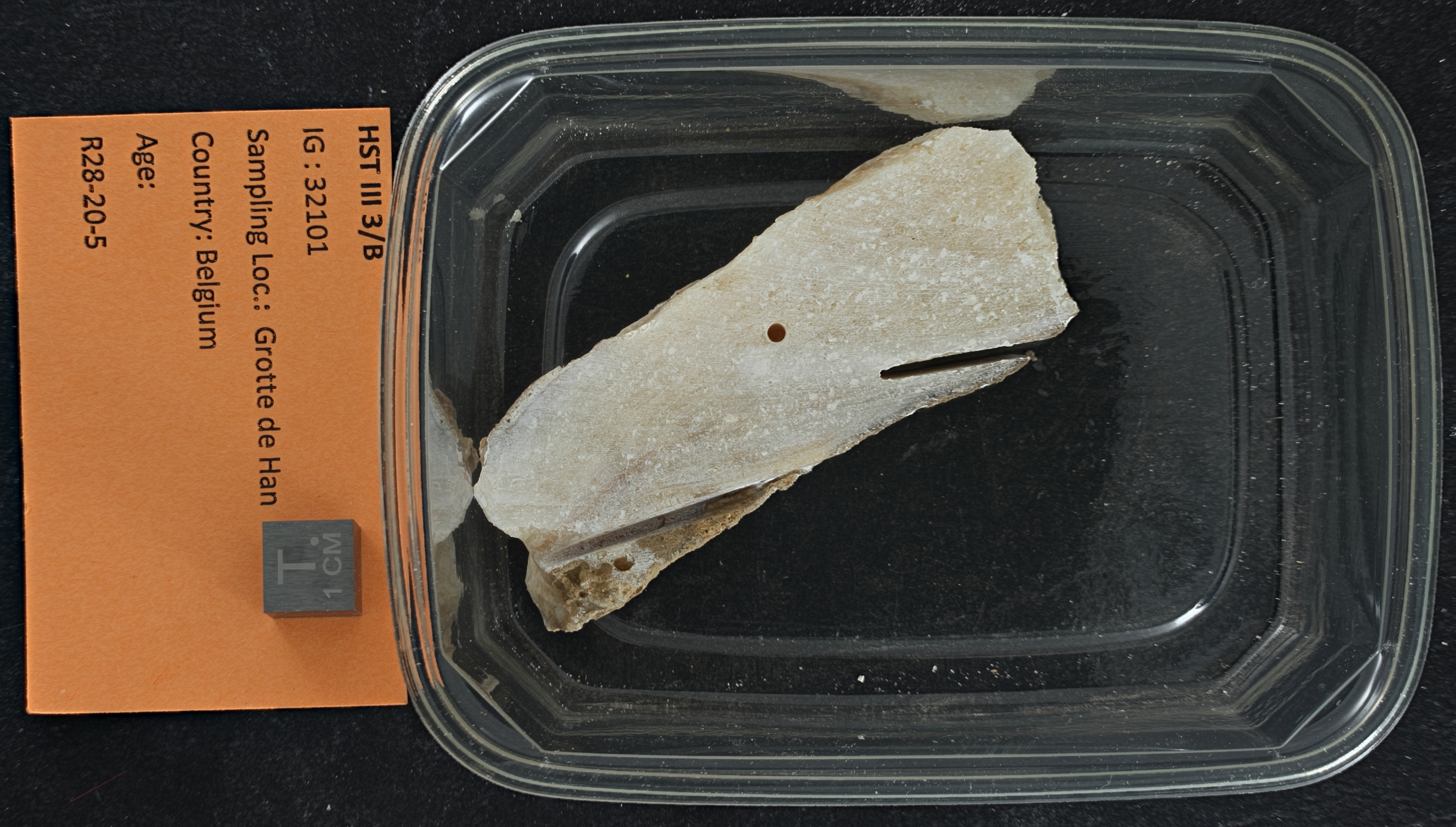 SPELEO-HST-III-3B ZS PMax_DxO.jpg