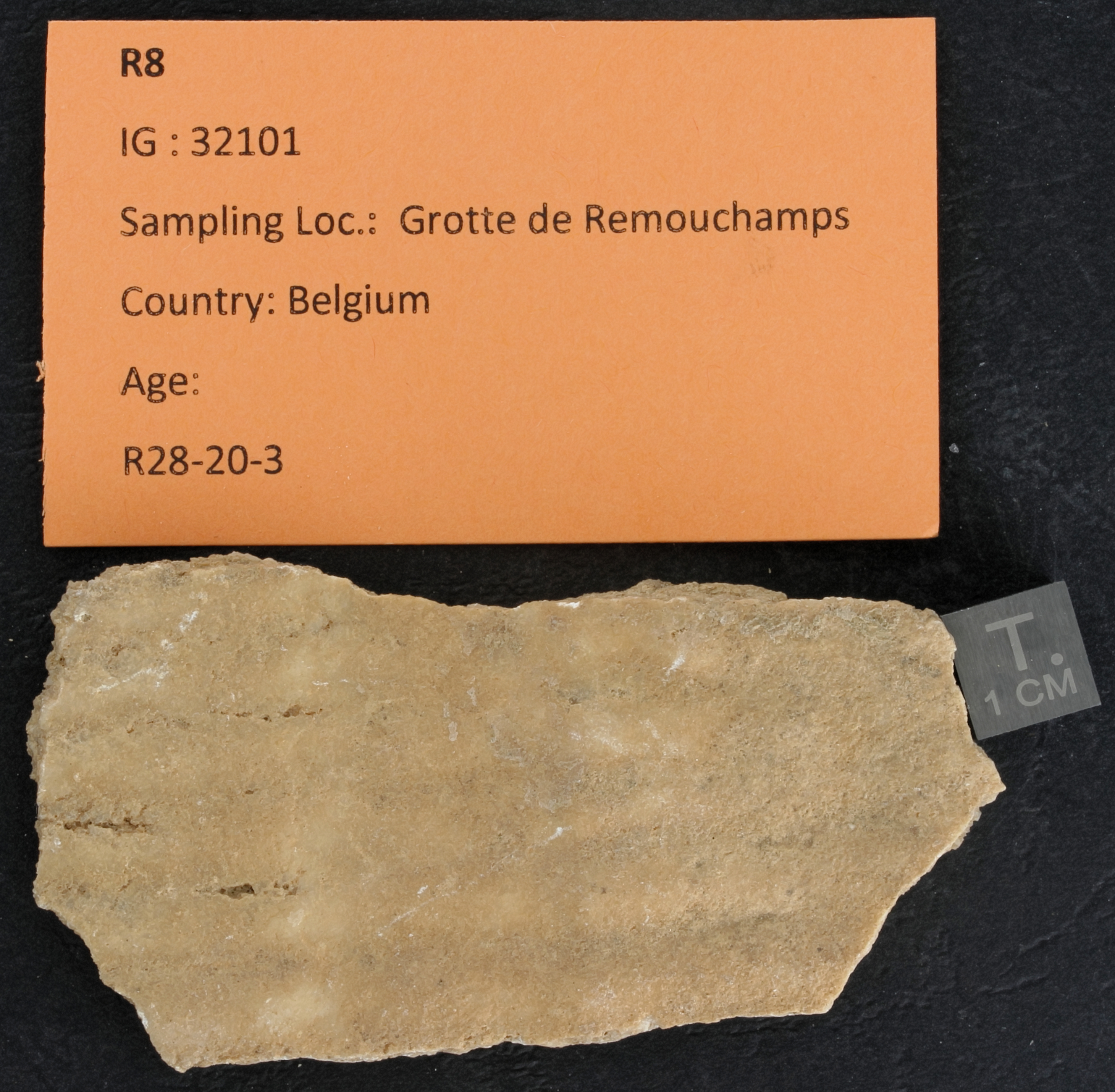 SPELEO-R8 ZS PMax_DxO.jpg