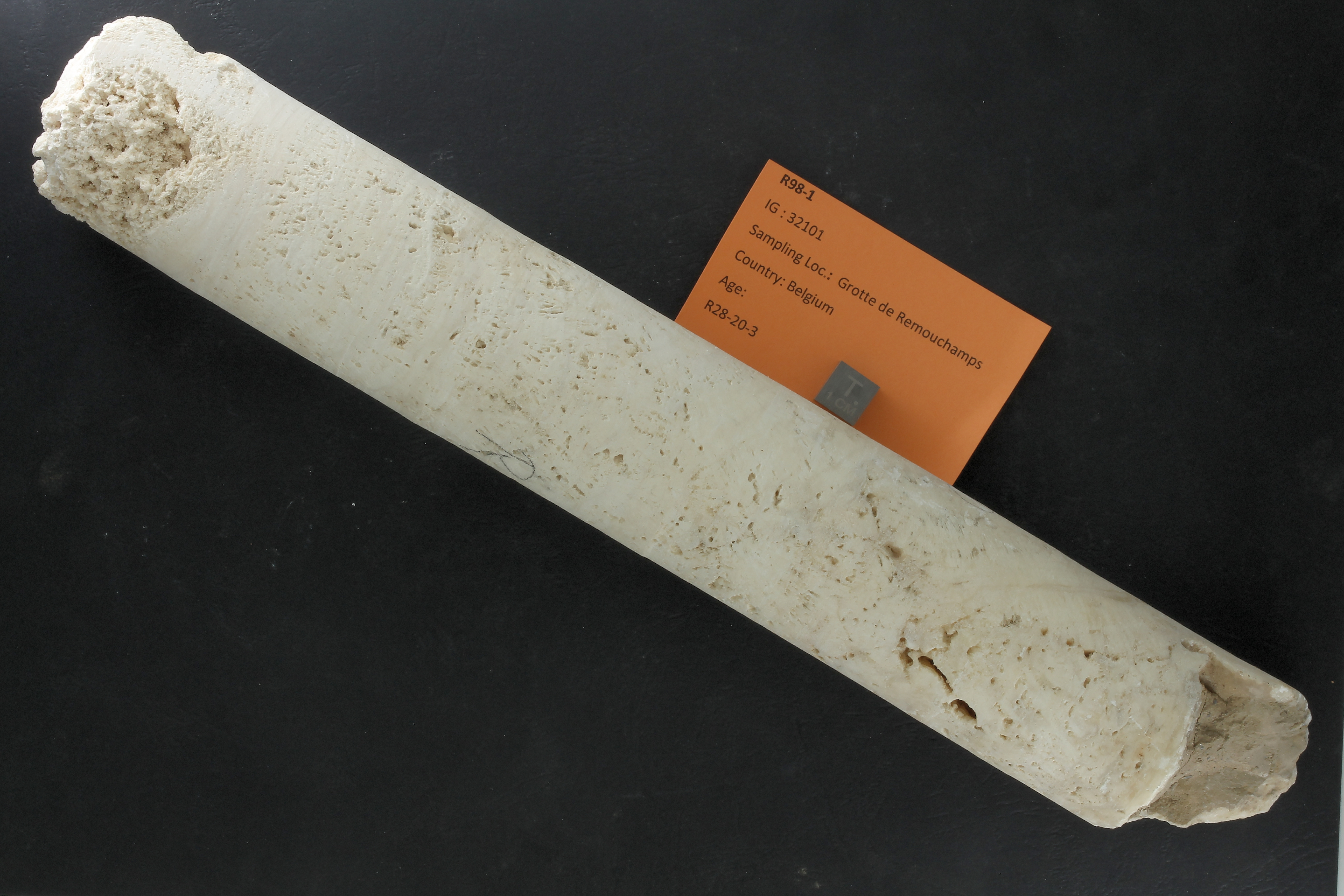 SPELEO-R98-1 ZS PMax_DxO.jpg