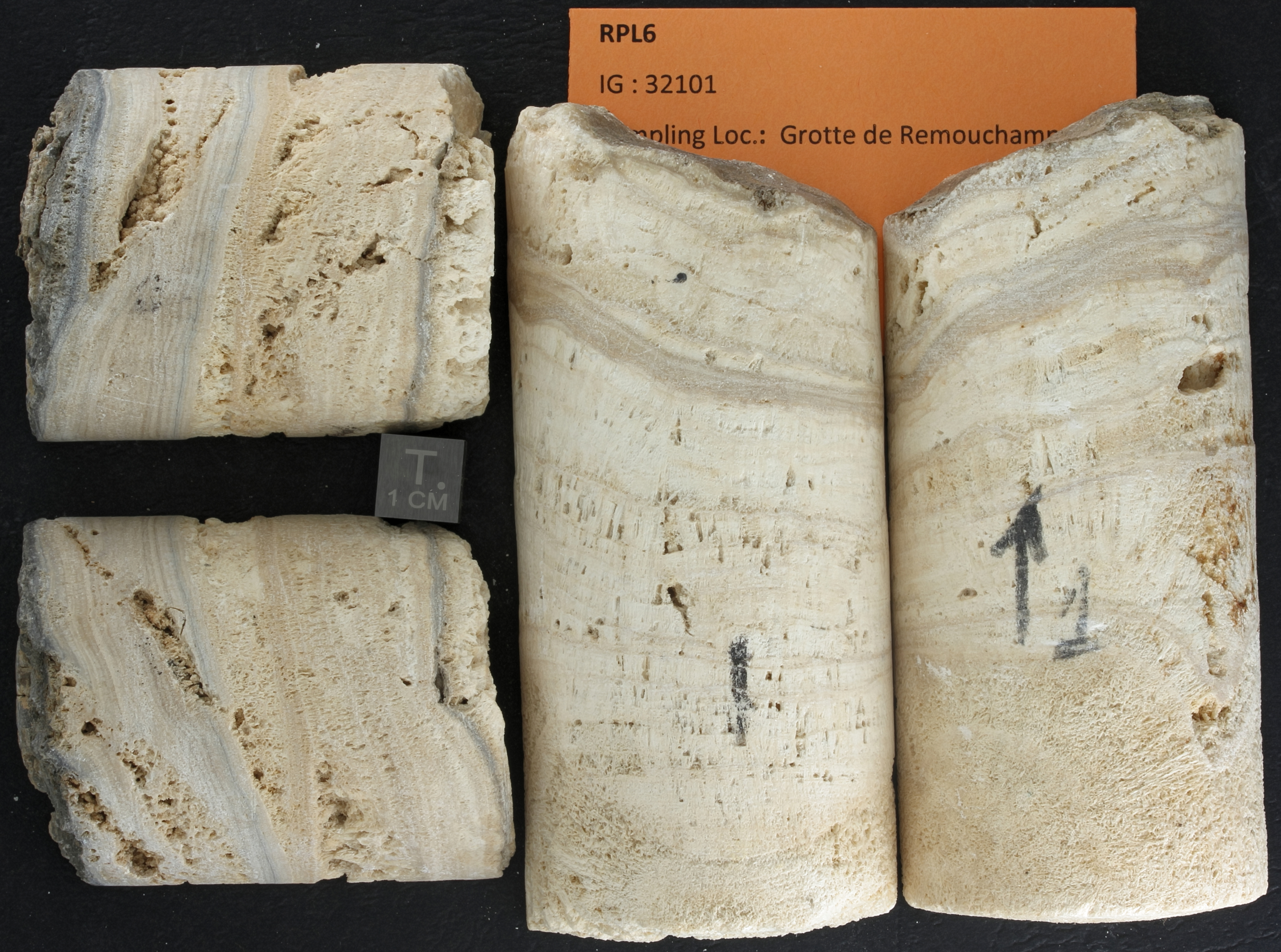 SPELEO-RPL6 ZS PMax_DxO.jpg