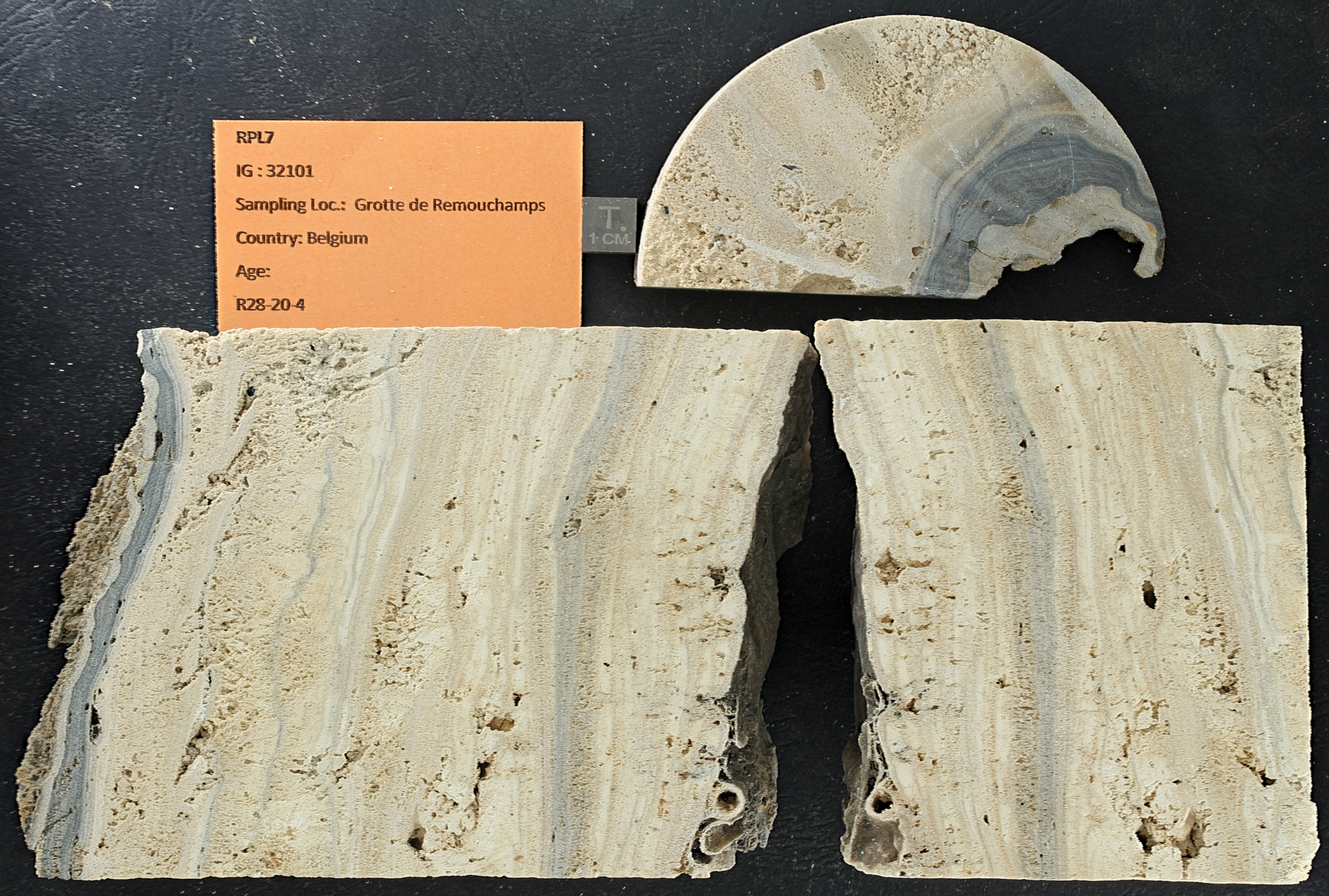 SPELEO-RPL7 ZS PMax_DxO.jpg