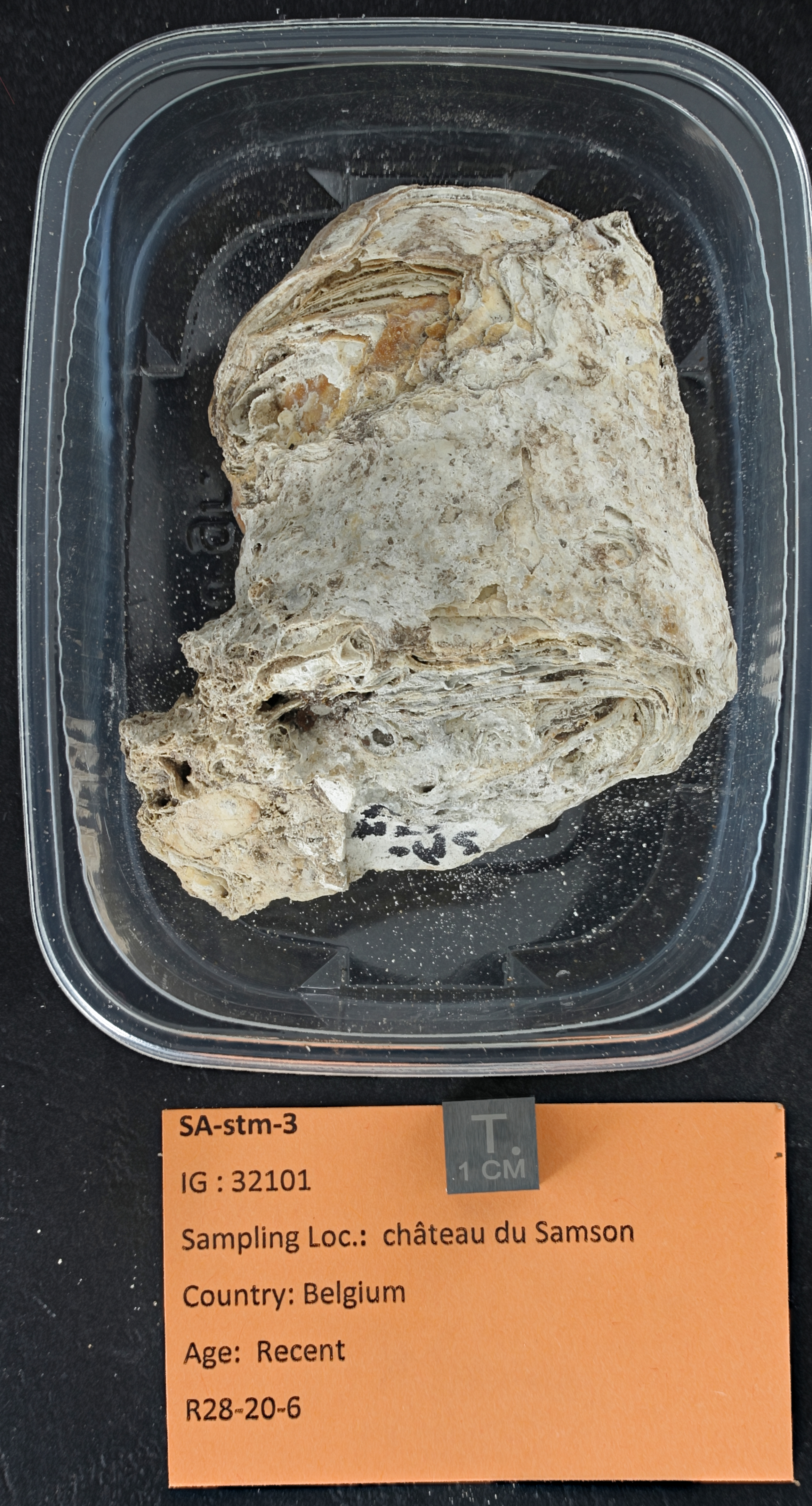 SPELEO-SA-stm-3 ZS PMax_DxO.jpg
