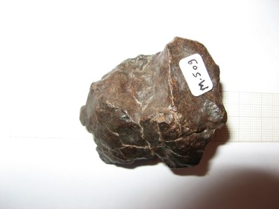 M509 NWA 6808