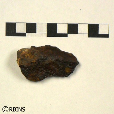 A09515 sample5