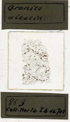 horta 869 2 IG16708 porfierische biotiet graniet.jpg