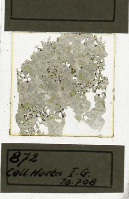 horta 872 IG16708 olivijn eucriet (olivijnhoudende pyroxeen gabbro).jpg