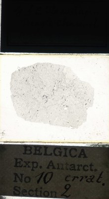 belgica antarctica expeditie  10.2a.jpg