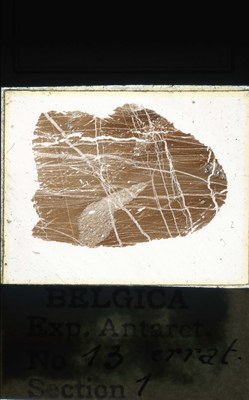 belgica antarctica expeditie  13.1a.jpg