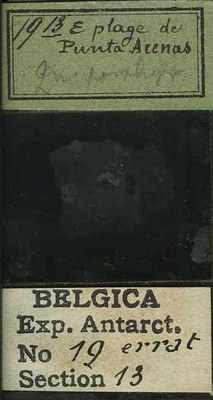 belgica antarctica expeditie  19.13b.jpg