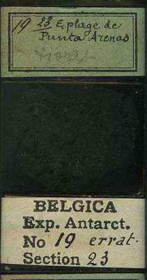 belgica antarctica expeditie  19.23b.jpg