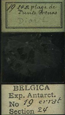 belgica antarctica expeditie  19.24b.jpg