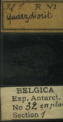 belgica antarctica expeditie  32.1b.jpg