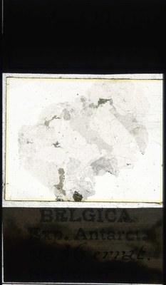 belgica antarctica expeditie  36.5a.jpg